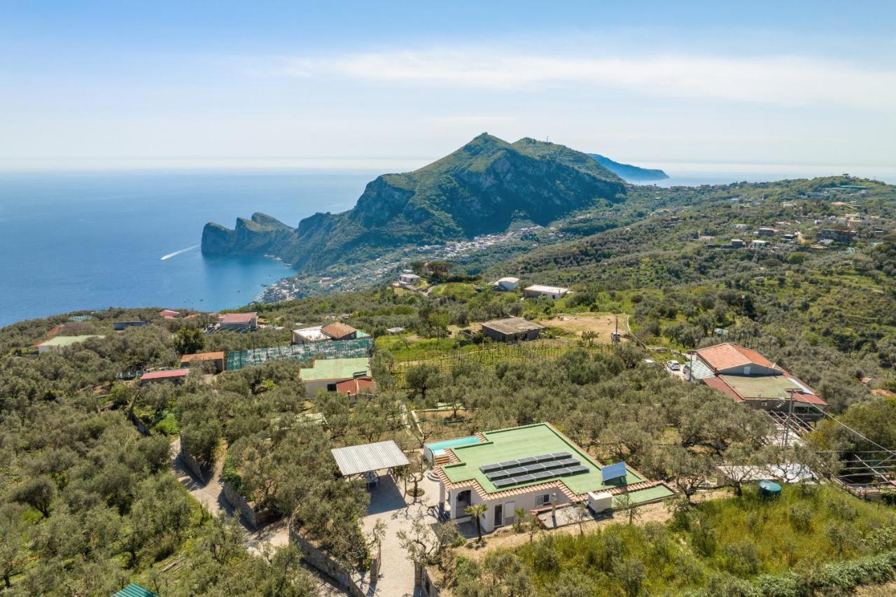 Villa Rusinella Minimalist Retreat With Sea Views Маса Лубрензе Екстериор снимка